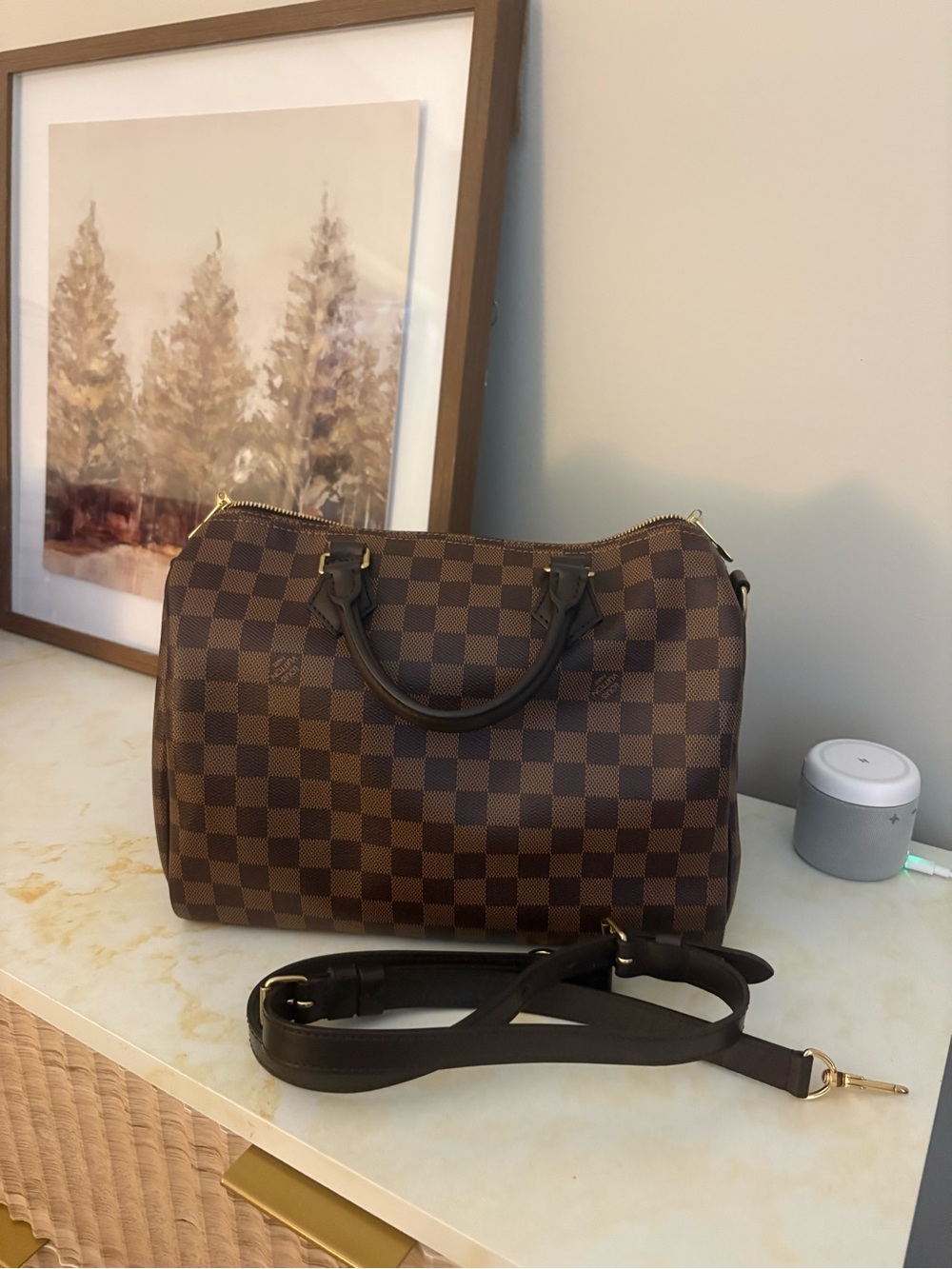 Louis Vuitton Speedy 30 with strap